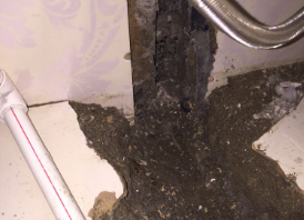 宛城卫生间测漏水哪家好