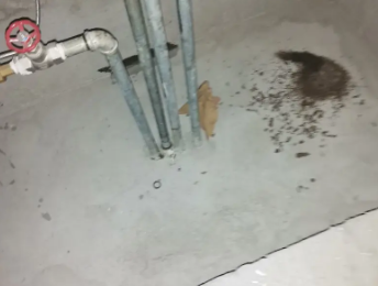 宛城卫生间测漏水价格明细