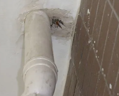 宛城漏水检测哪家好